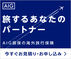AIG損保の海外旅行保険バナー画像