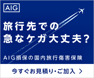 AIG損保の国内旅行傷害保険バナー画像