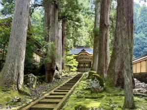 杉の巨木に囲まれた永平寺の石段と伽藍（福井県）