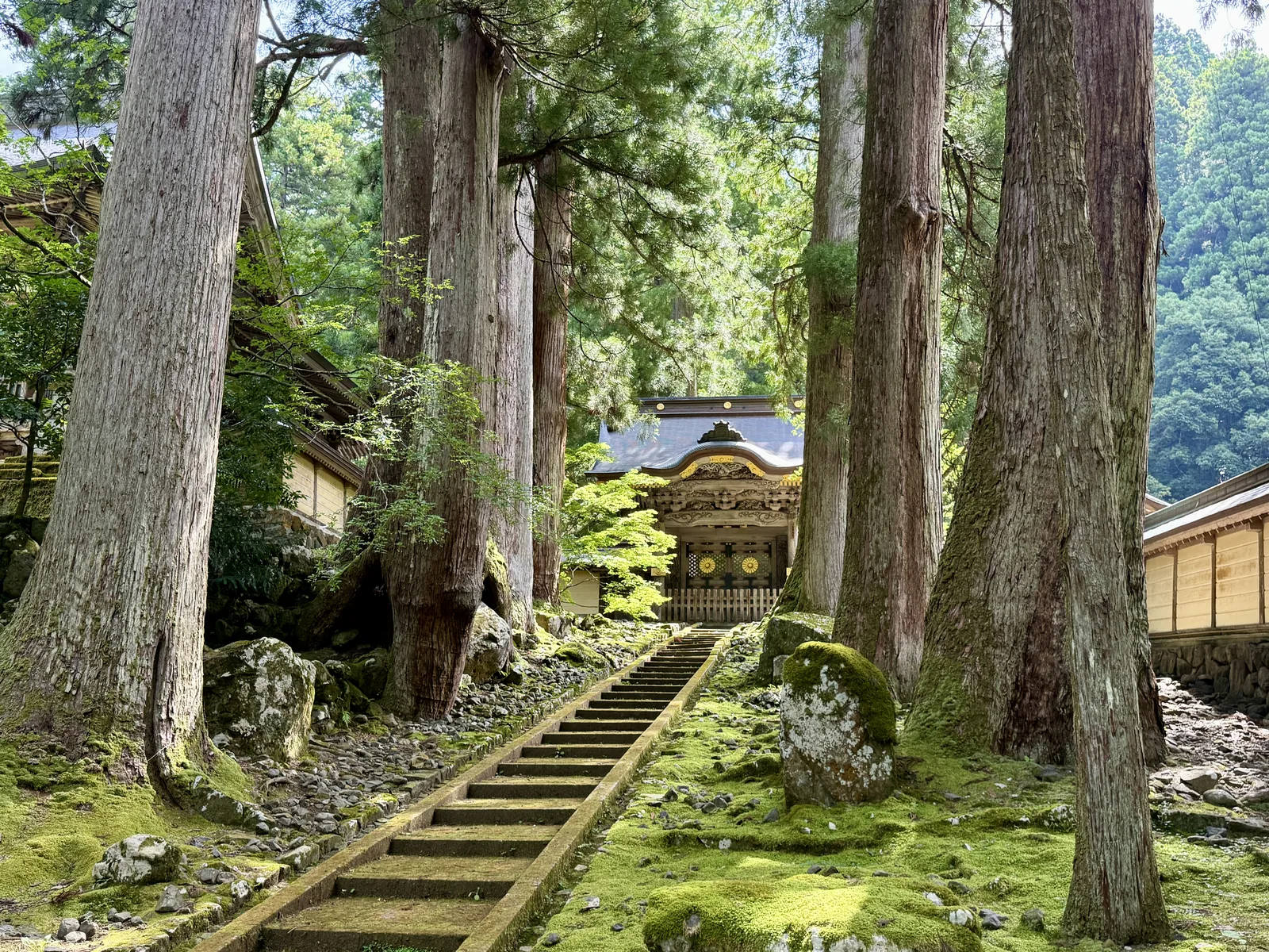 杉の巨木に囲まれた永平寺の石段と伽藍（福井県）