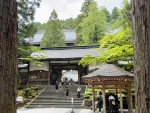 杉木立に囲まれた永平寺の石段と参拝者（福井県）