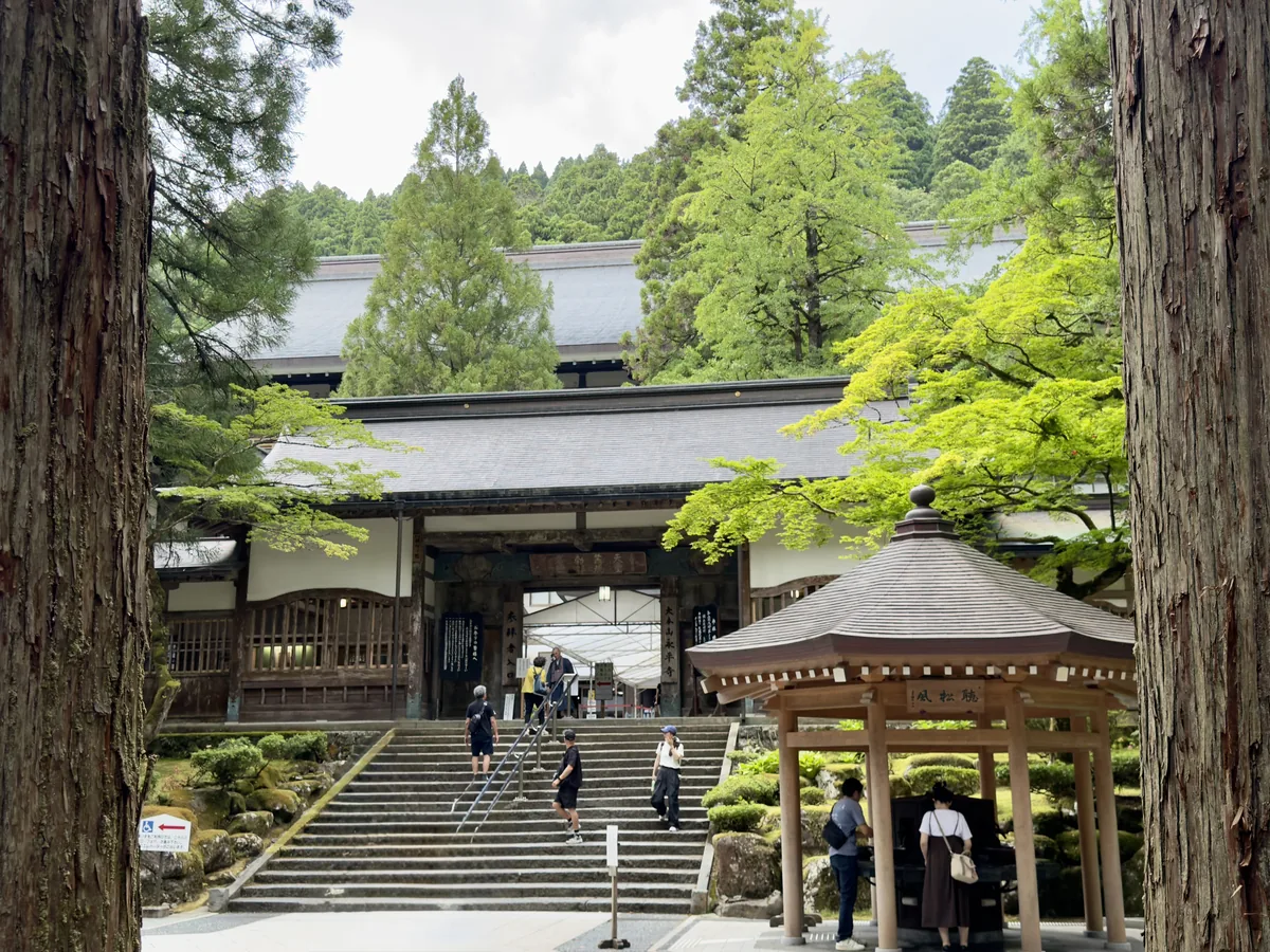 杉木立に囲まれた永平寺の石段と参拝者（福井県）