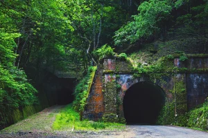 緑に覆われた旧北陸本線トンネルの坑口（福井県）
