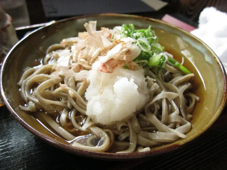 大根おろしをのせた福井の越前おろしそば