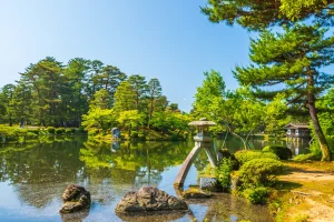 新緑の兼六園　霞ヶ池に立つ徽軫灯籠（石川県金沢市）