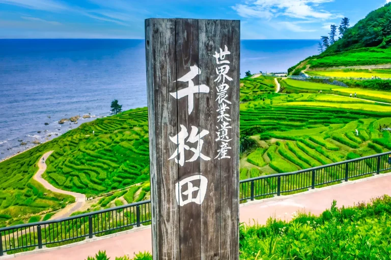 世界農業遺産の標柱が立つ白米千枚田と日本海（石川県輪島市）