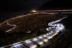 イルミネーションに照らされた冬の白米千枚田（石川県輪島市）