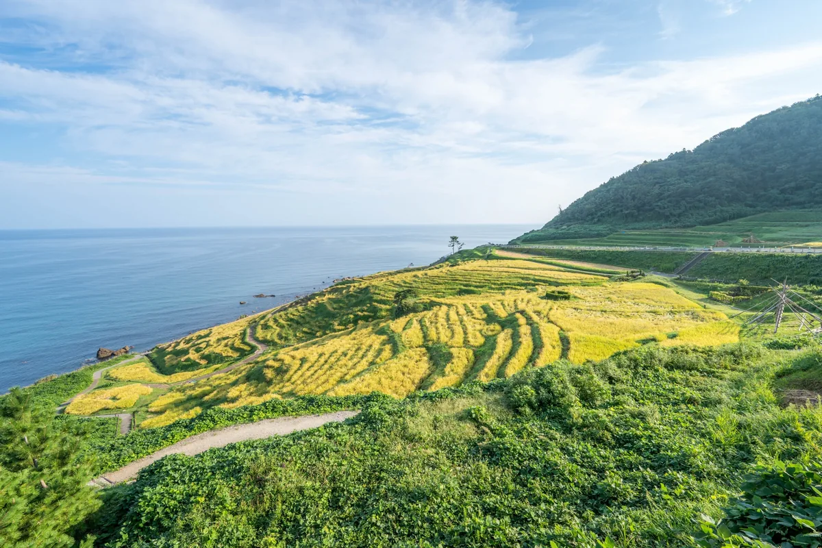 日本海に面してひろがる白米千枚田の棚田（石川県輪島市）