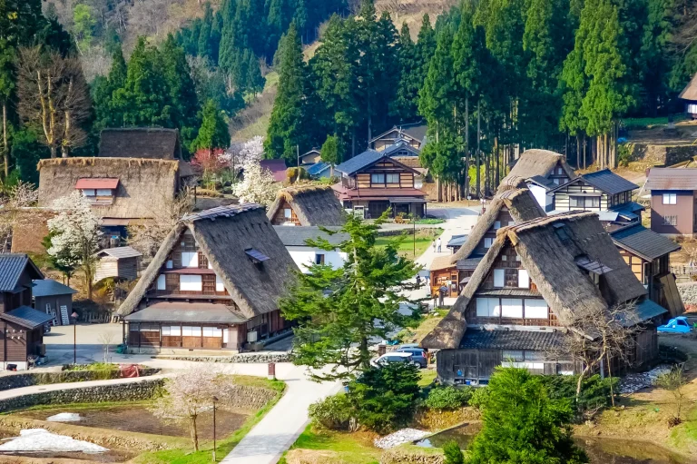 新緑に囲まれた五箇山の合掌造り集落（富山県）