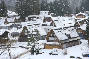 雪に覆われた五箇山の合掌造り集落（富山県）