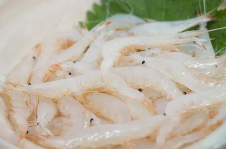 「富山湾の宝石」と呼ばれる白えびのむき身