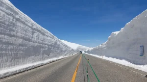 両側に雪の壁がそびえる立山黒部アルペンルートの雪の大谷（富山県）
