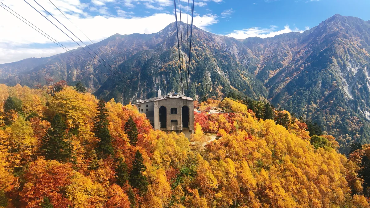 紅葉に染まる立山黒部アルペンルートの山肌とロープウェイの支柱（富山県）